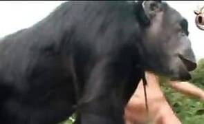 Zoo Sex Tube